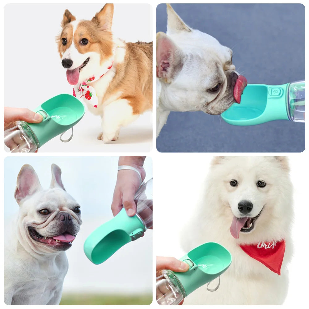 Gourde Portable pour Chiens et Chats Anti-Fuite pour Promenades et Voyages